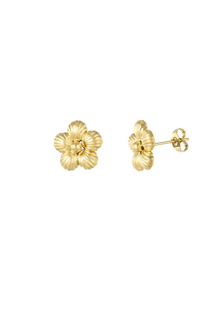 Oorbellen - daisy goud